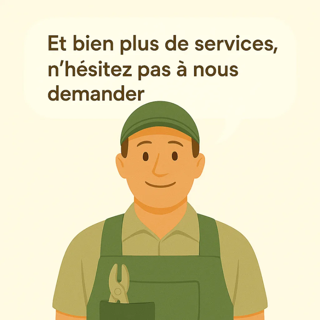12.webp